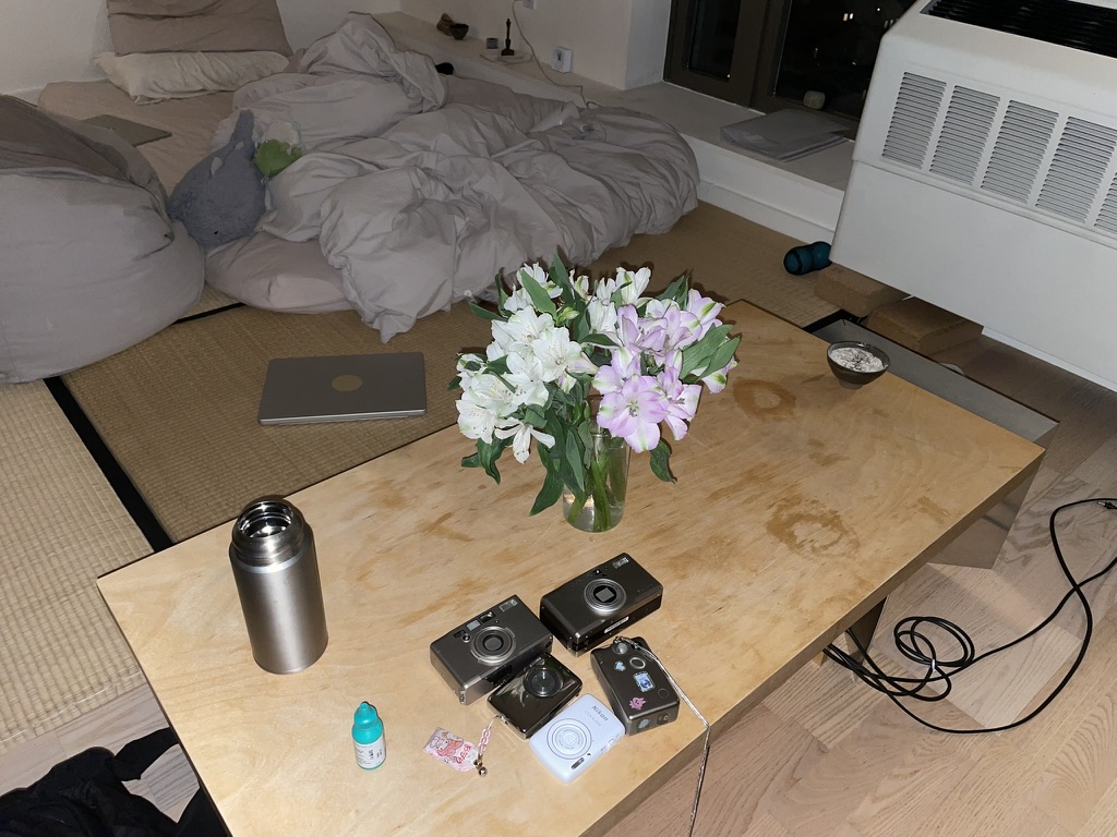 30BAA5DB-D697-4B56-B308-76EF89F333EC_1_105_c.jpeg