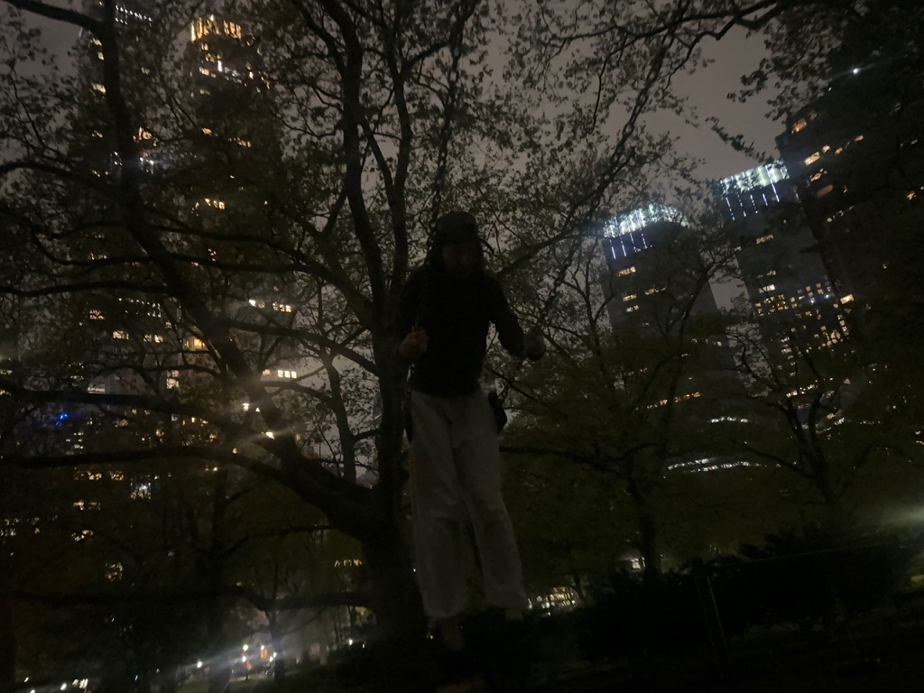 8D5809C2-6654-4BF6-BCD0-10BD3F594632_1_105_c.jpeg