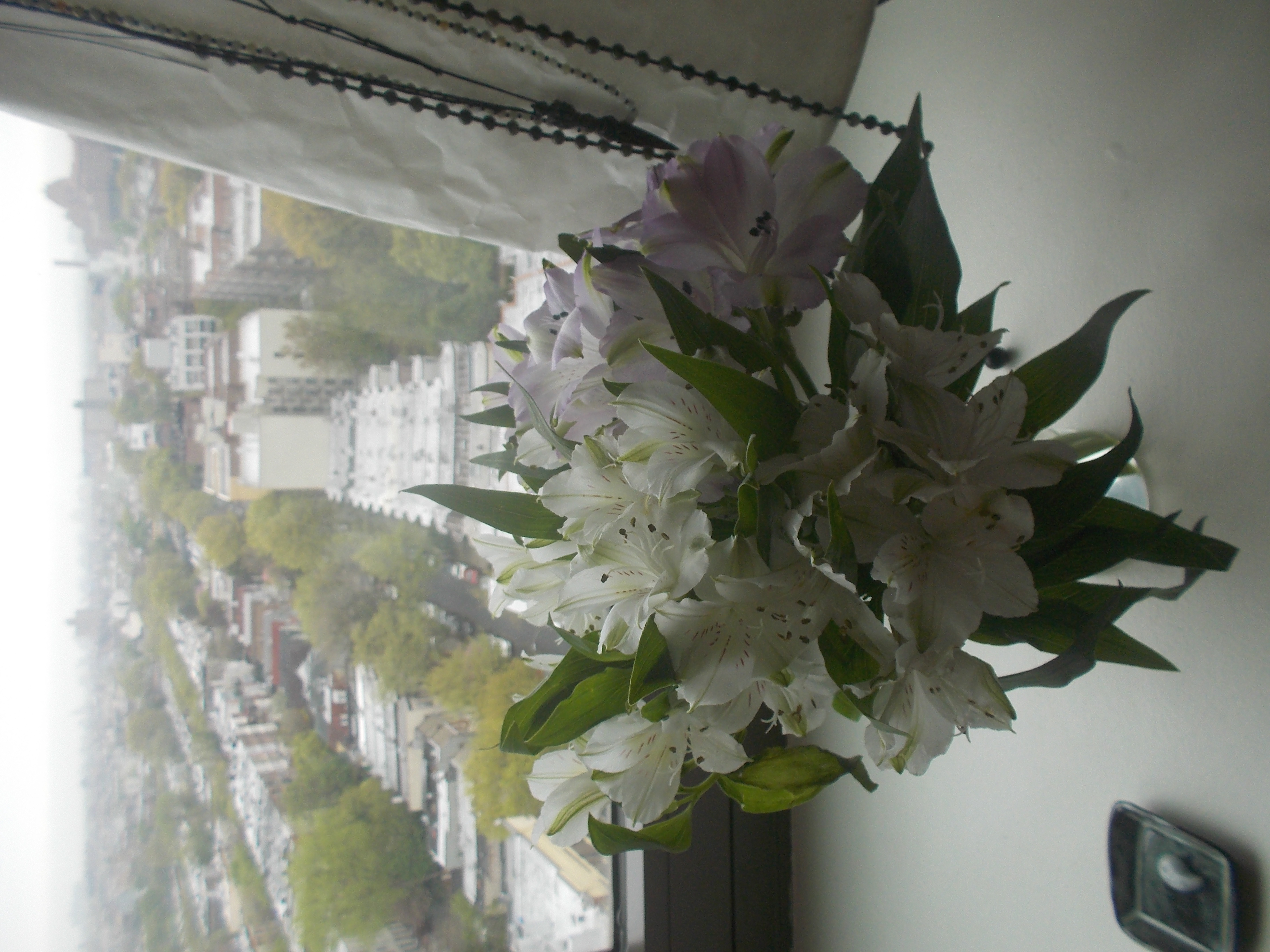 DSCN0664.JPG