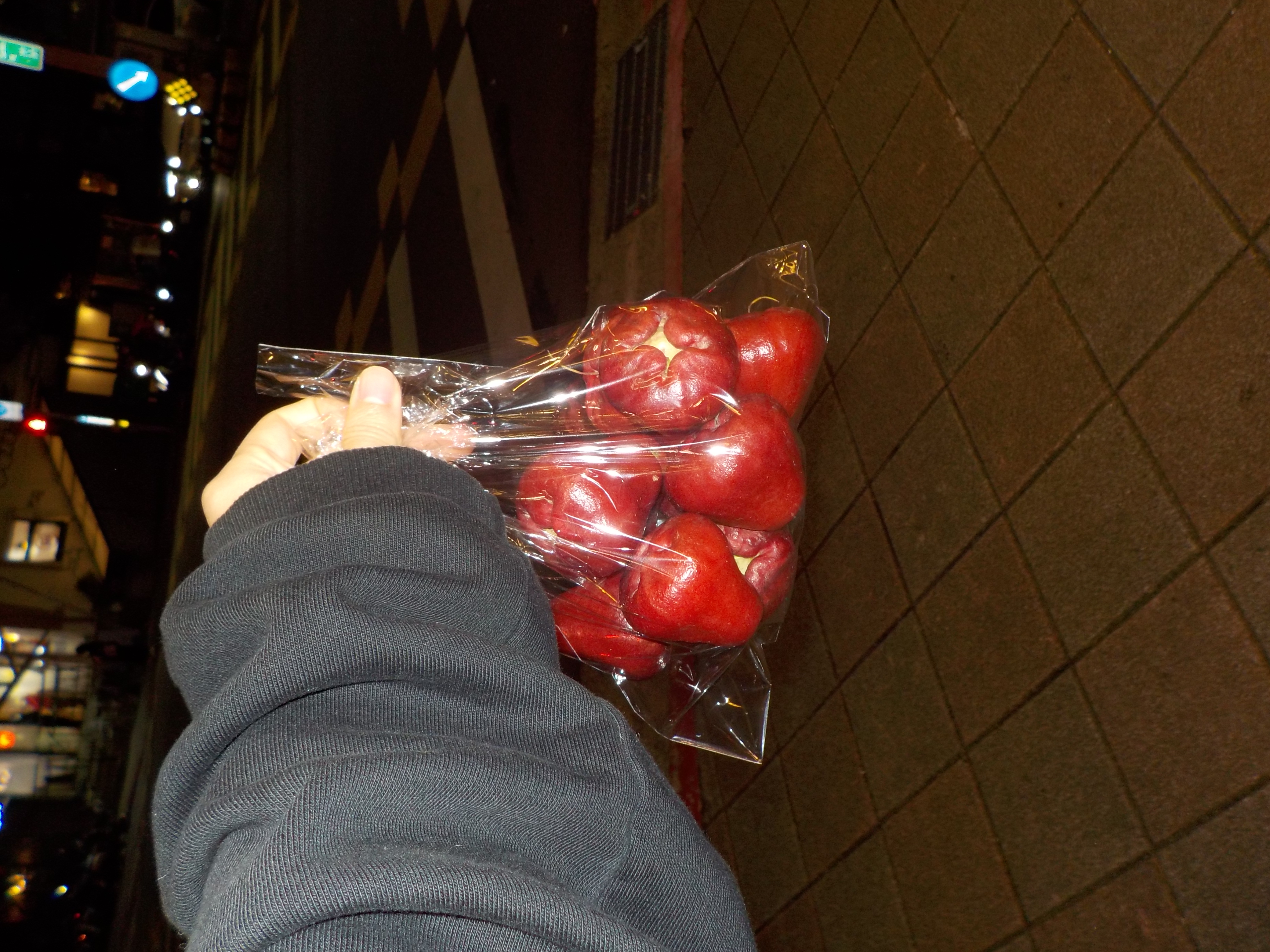 DSCN0763.JPG